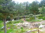 Foto49.JPG