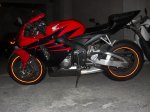 foto motosnet.jpg