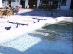 DSC00810.jpg