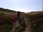 DSC00803.jpg