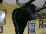 04062011119.jpg