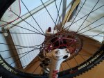 2011-06-05 12.36.48.jpg