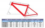 geometria-liberty.jpg