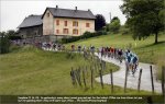 dau11st02-bunch.jpg