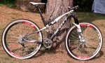 1106071622_spark-2738.jpg