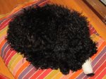 IMG_0116_800x600.jpg