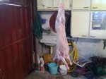 08062011407.jpg