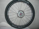 DSCN5004.JPG