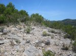 IMG_0747.jpg