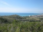 IMG_0743.jpg