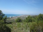 IMG_0740.jpg