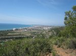 IMG_0742.jpg