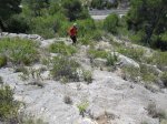 IMG_0748.jpg