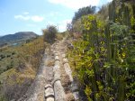 DSCN1048.jpg