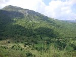 DSC01137.JPG