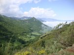 DSC01134.JPG