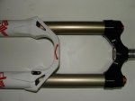 DSC03687-1.jpg