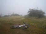 IMG_4843.JPG