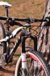 1106071622_spark-2743.jpg