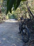DSC01310.jpg