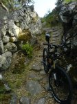DSC01303.jpg