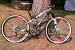 1106071622_spark-2739.jpg