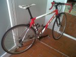 IMG00102-20110610-1557_800x600.jpg