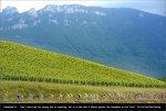 dau11st03-view.jpg