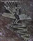 &#110;&#97;&#122;&#99;&#97;&#46;.jpg