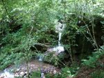 DSC01202.JPG