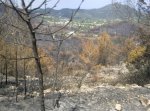 Imagen0526.jpg