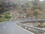 Imagen0517.jpg