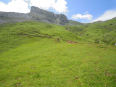 dscn1040d.jpg