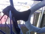 120620112865.jpg