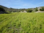 DSC00705.JPG