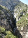 DSC00716.JPG