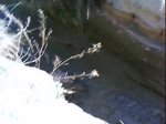 DSC00827.jpg