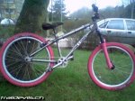 bikepic_1068_2.jpg