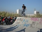 DSC01100.JPG