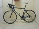 giant 012.jpg