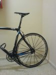 giant 013.jpg