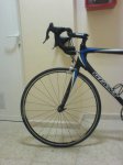 giant 014.jpg