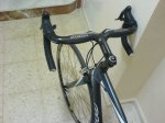 giant 015.jpg