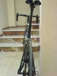giant 017.jpg