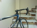 giant 020.jpg