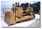 cat9b.jpg