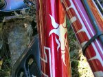 Trek acastronada.jpg