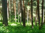 Foto15.JPG