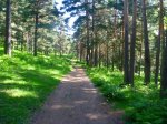 Foto6.JPG