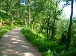 Foto3.JPG